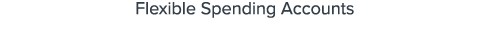 Flexible Spending Accounts
